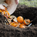 Il Compost: quando è il cibo a nutrire la terra